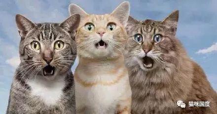 故事死去活来,故事会死去活来