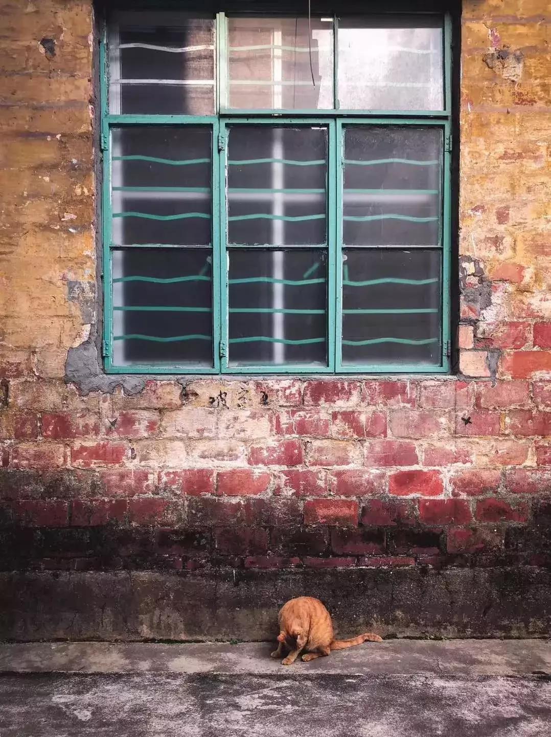 广州红专厂近况,耒阳红砖厂