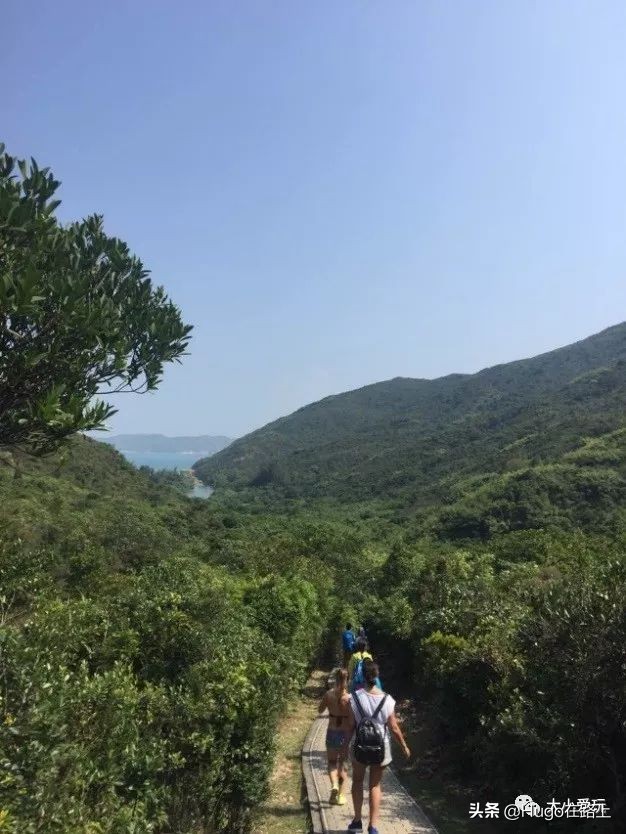 香港亲子游最佳路线图,香港亲子游攻略图