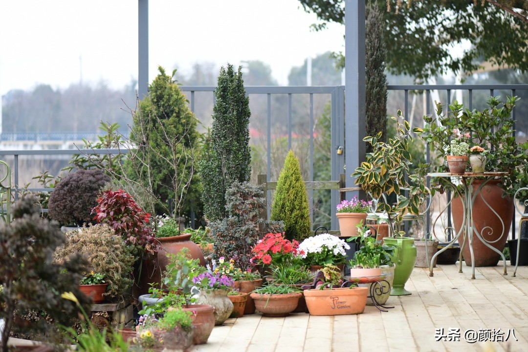 就趁现在，花园最忙碌的季节|园丁