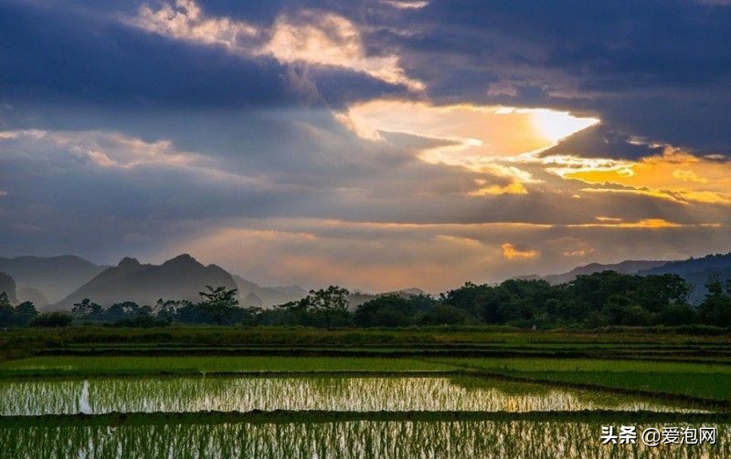 阳春田园风景视频,阳春春湾镇风景视频