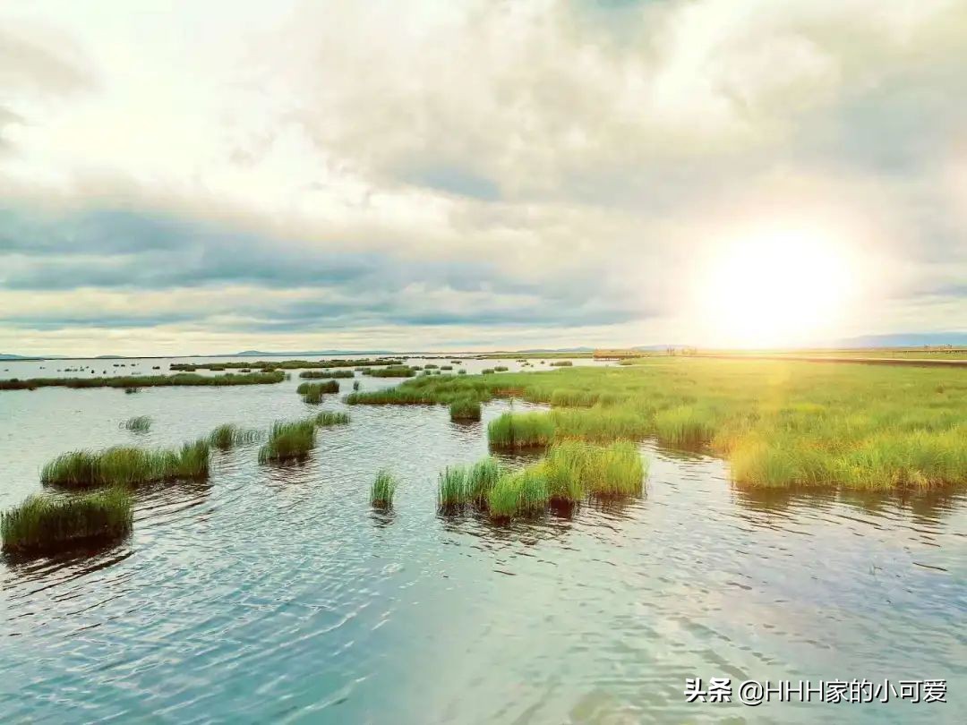 若尔盖大草原人间天堂,若尔盖大草原真美