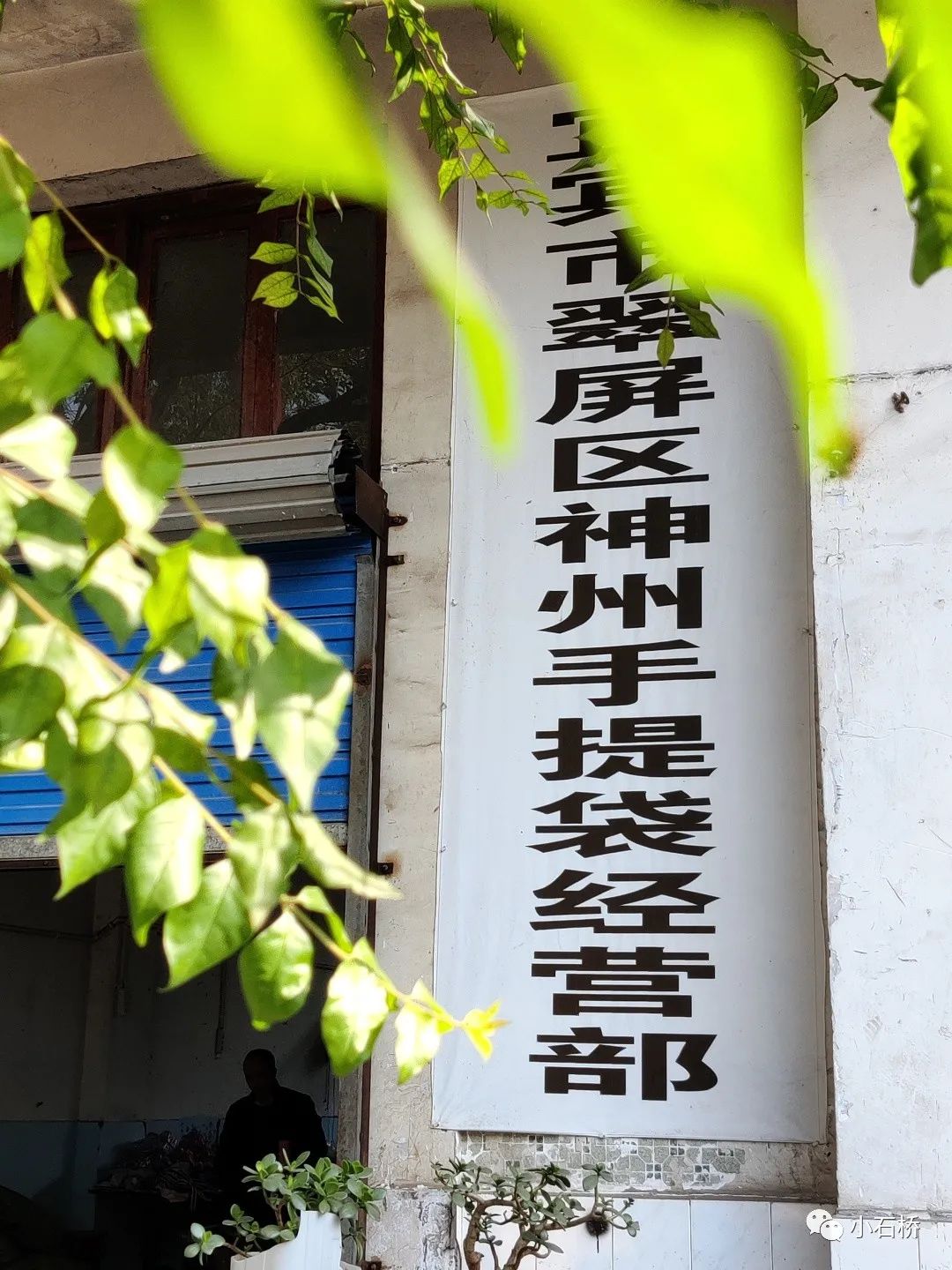 宜宾纪行:心心念念是李庄