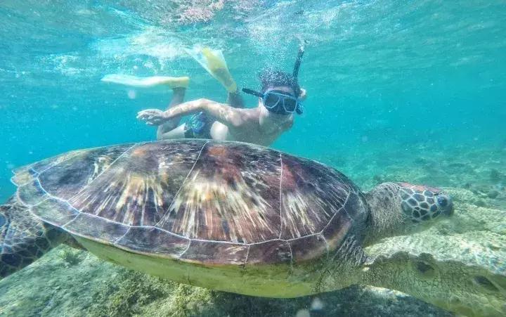 有个岛国，比美马代，比海南便宜，机票500起！