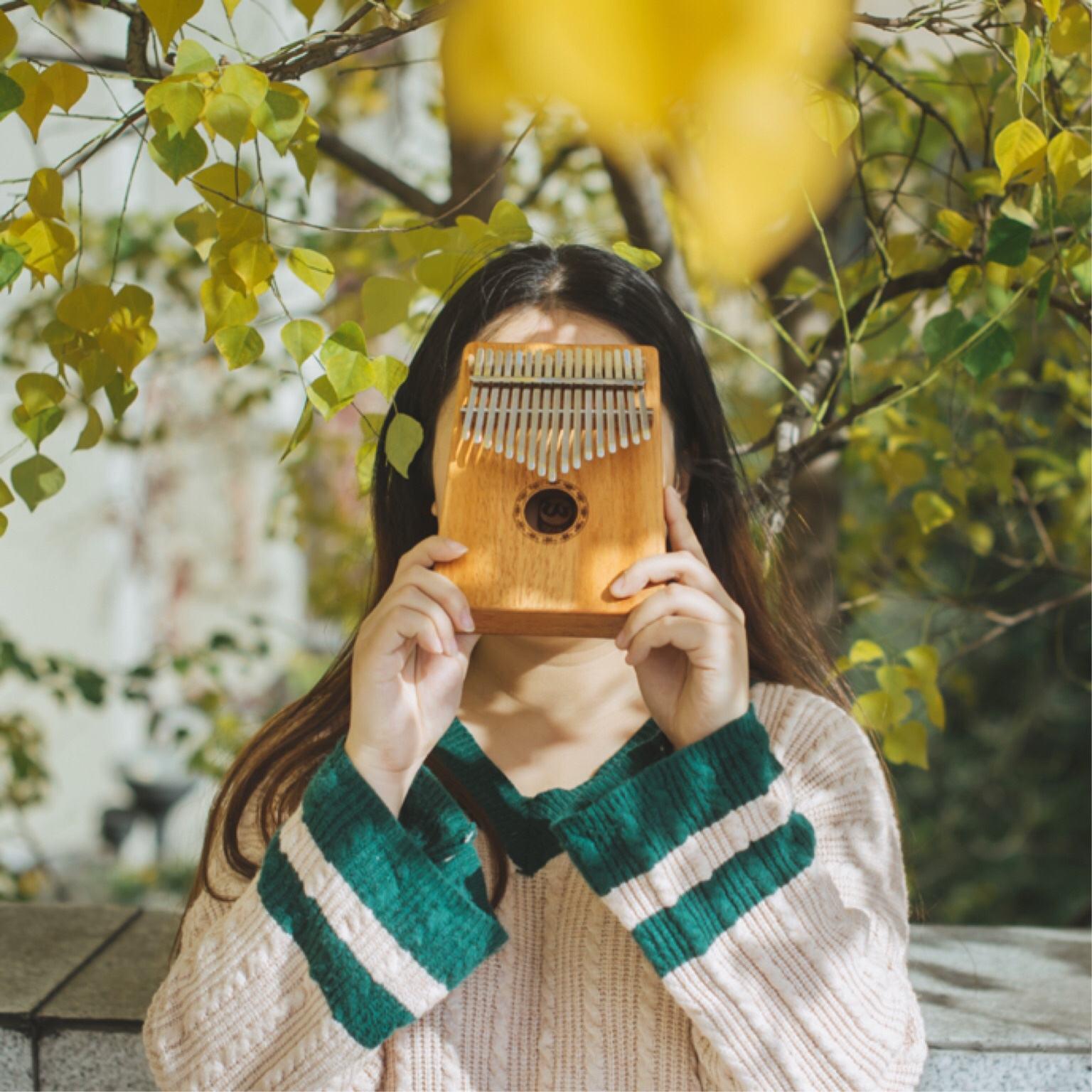 “一曲肝肠断，非洲何处觅知音”卡林巴琴