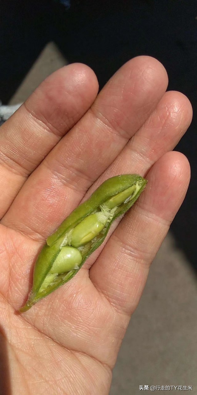 昆明王旗营蔬菜批发市场电话,云南昆明王旗营每日蔬菜批发价格