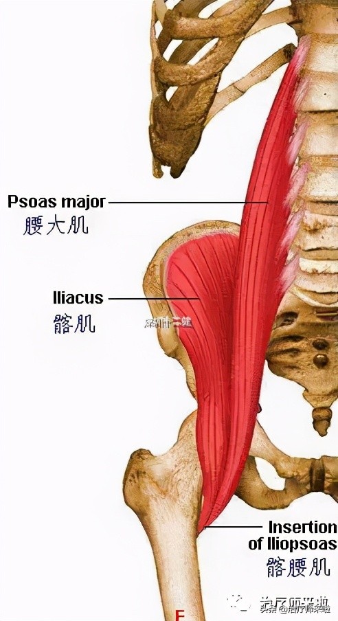 怎样可以使腿型更直,如何使腿型更好