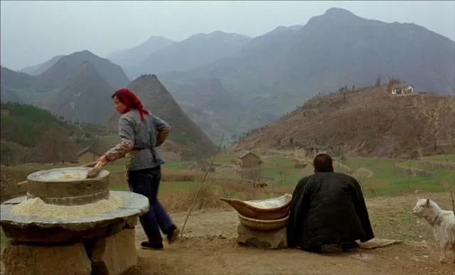 鸡窝洼人家完整版,鸡窝洼的人家全文免费在线阅读