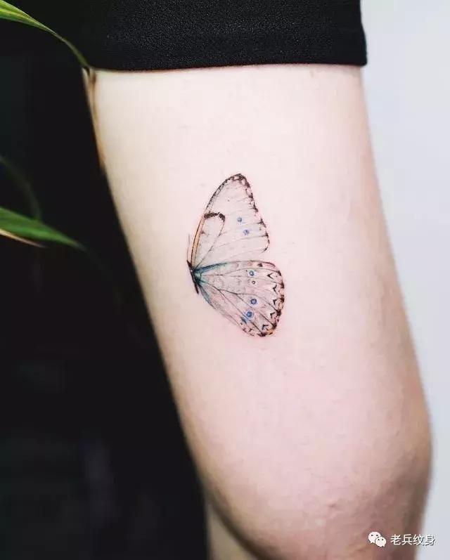 蝴蝶纹身图案,纹身素材蝴蝶后背