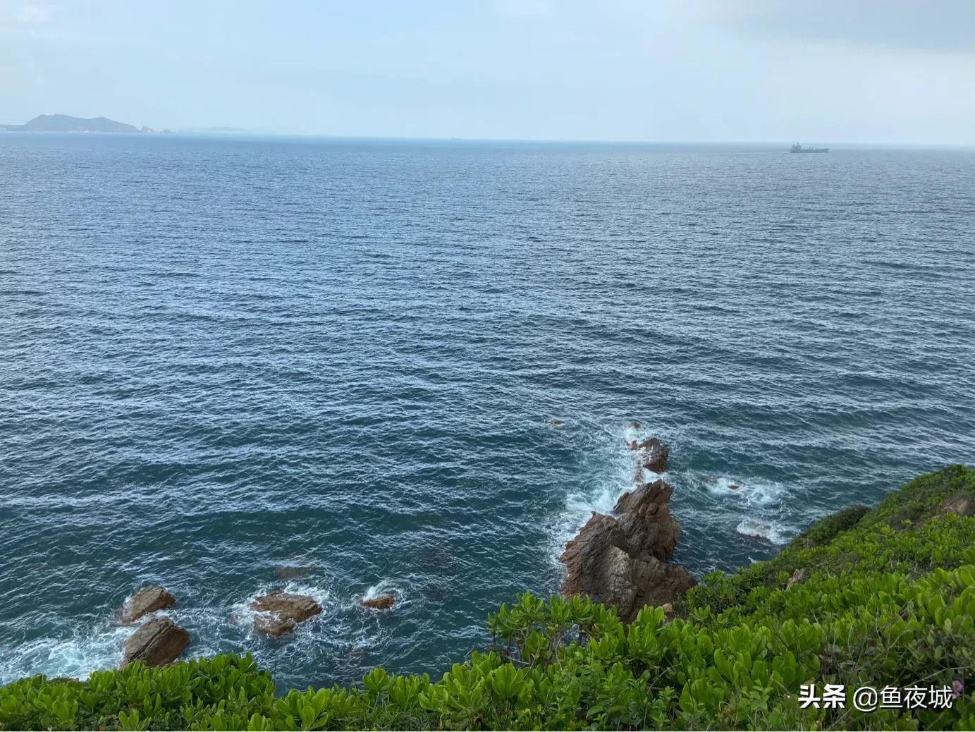 可以获得收益的自媒体平台,财经自媒体哪些平台收益高