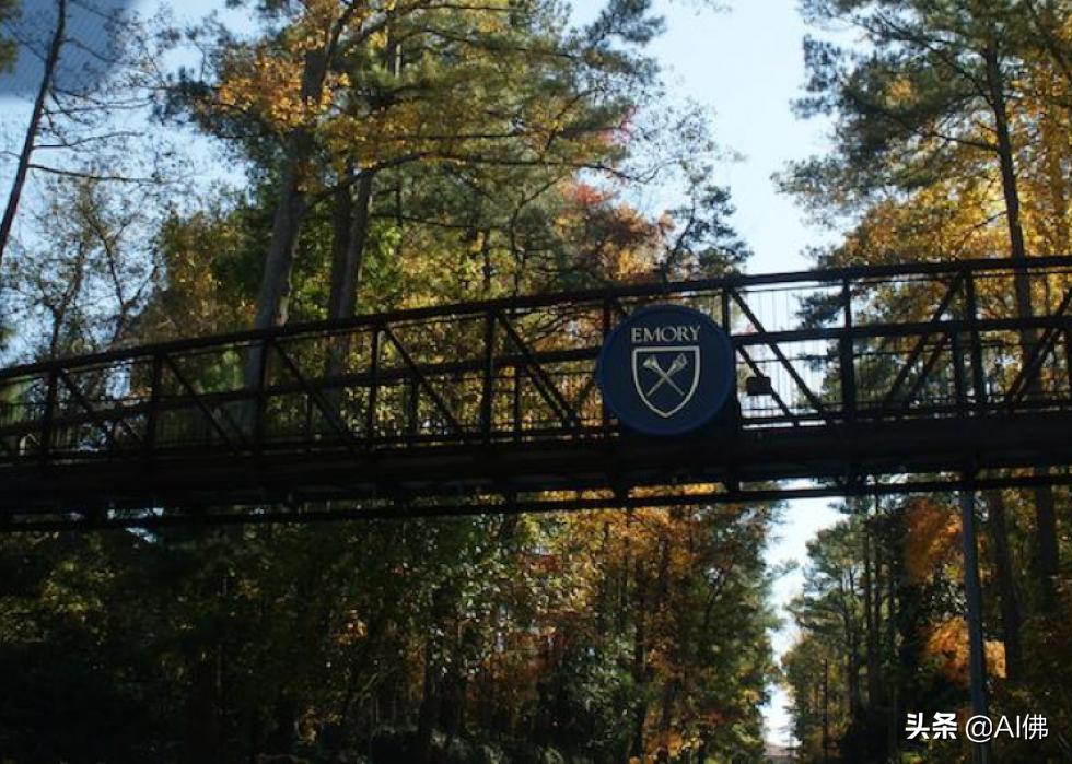 美国康奈尔大学校园风景,美国校园美景