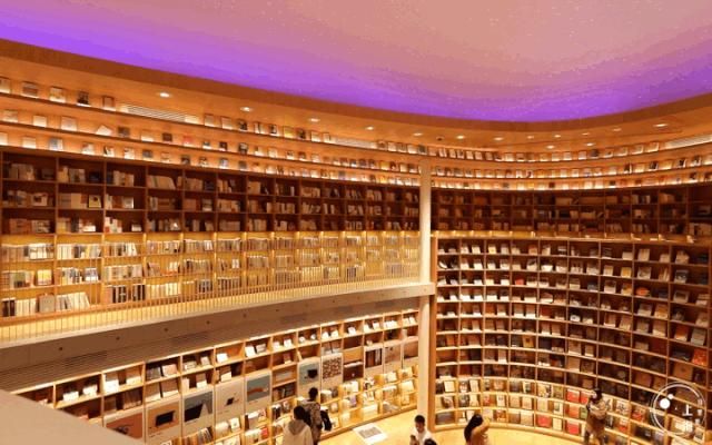 生日当天上海免费景点,上海网红打卡地点景点免费