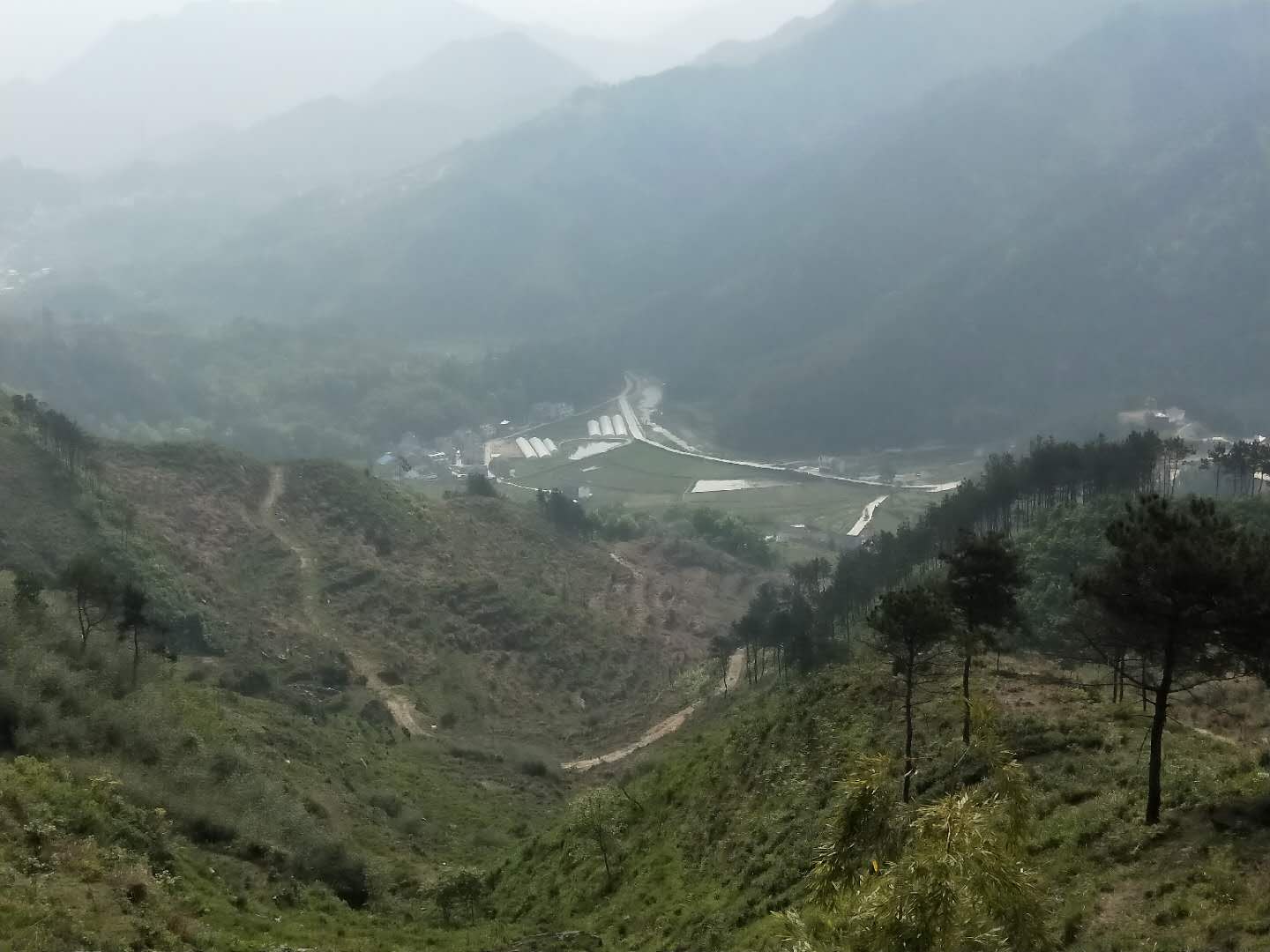 江苏电商创业,江苏射阳电商新模式