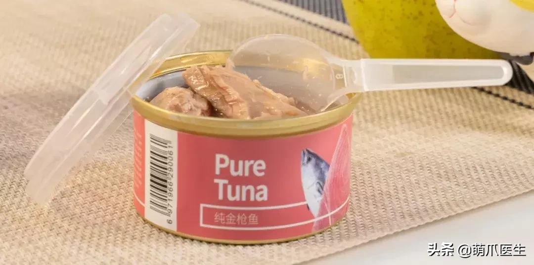 如何促使猫咪喝水,猫咪喜欢喝水吗