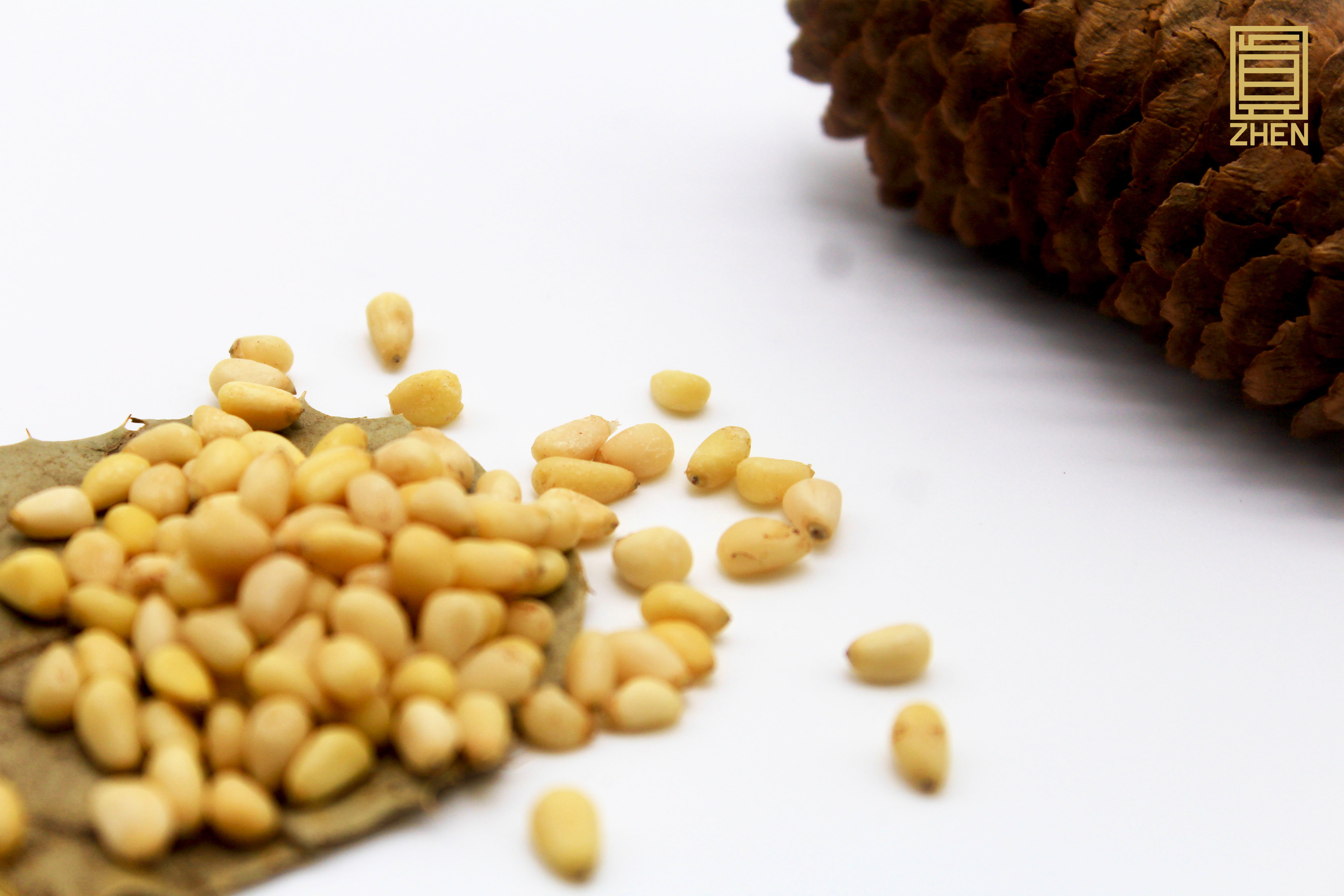 珍品汇滋补,珍品汇滋补品