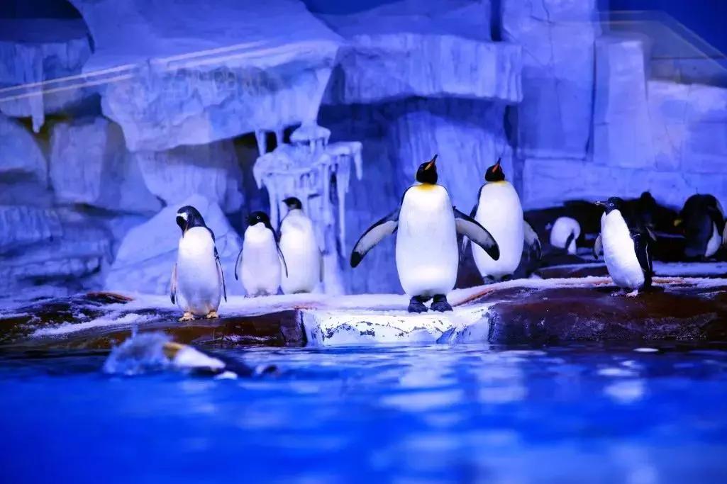 武汉攻略地铁,武汉高铁游最强攻略