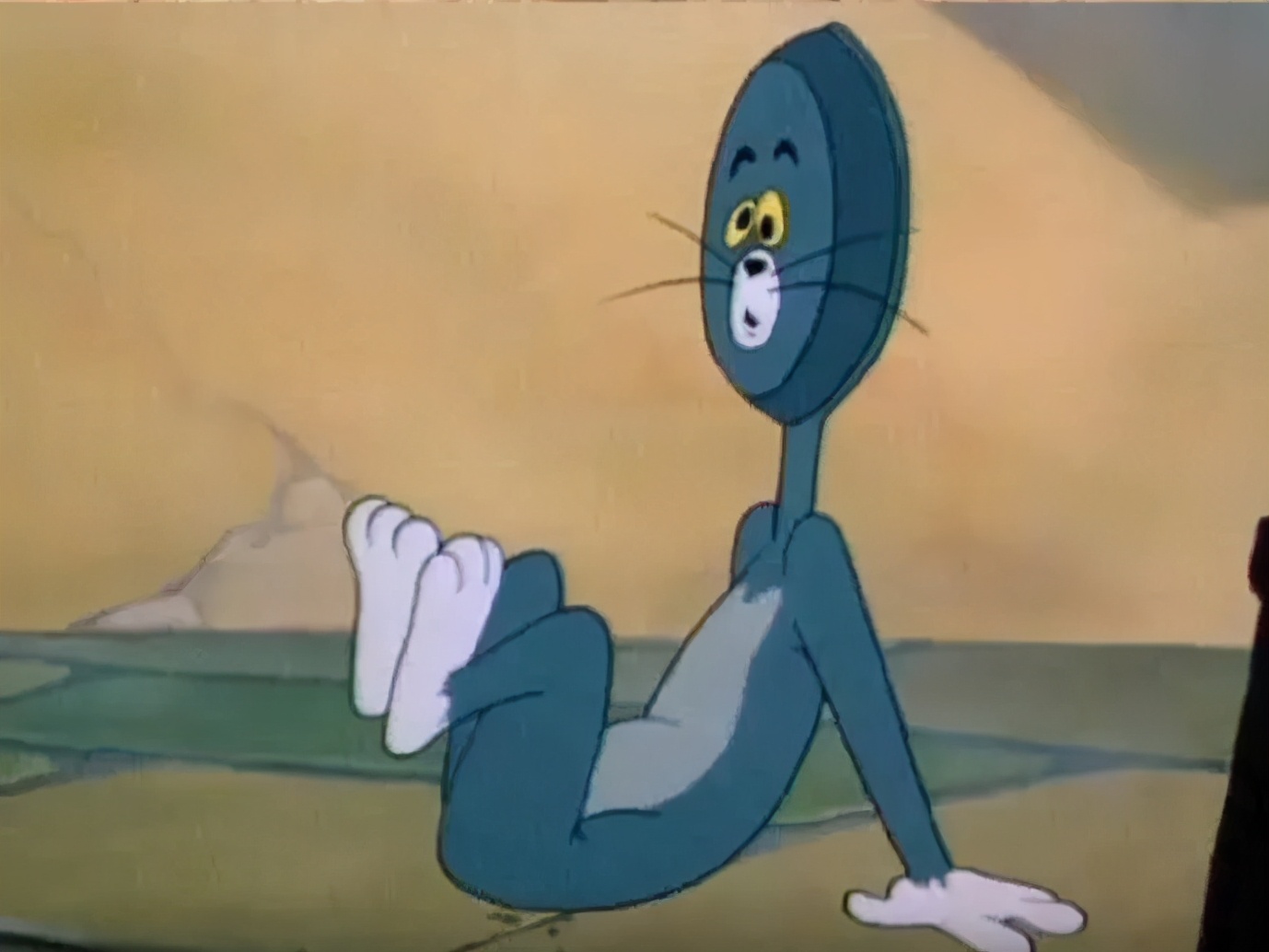 猫是固体还是液体有科学依据吗,科学家证实猫是液体