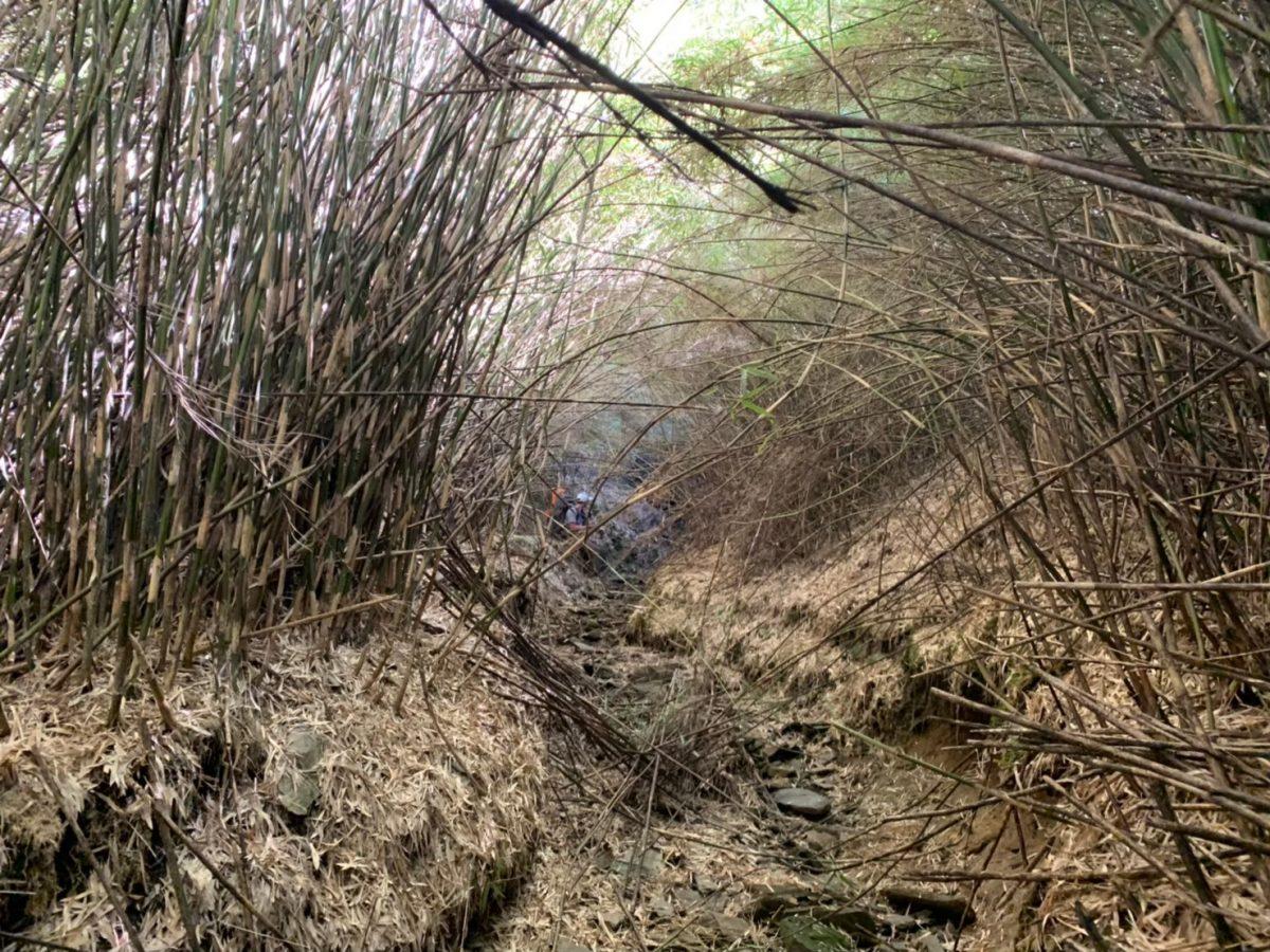 赞贝拉登山鞋哪款最经典,zamberlan登山鞋上海实体店