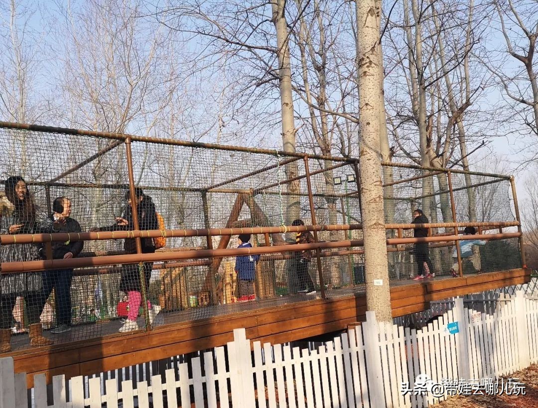 有哪些小众宝藏游乐园,藏在市区的宝藏游乐园