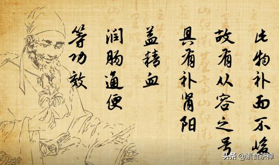 沙漠人参肉苁蓉哪里的最好,肉苁蓉生长环境与沙漠优势