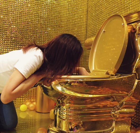 世上最贵的马桶排名,世界上最贵的5个马桶多少钱