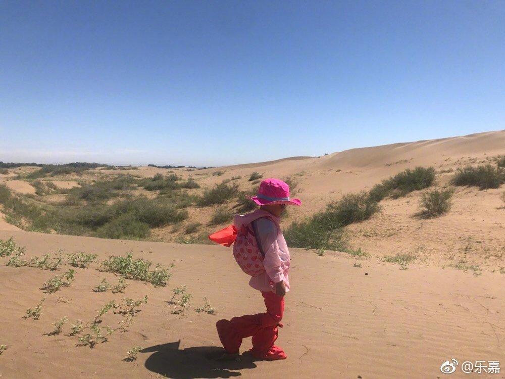 乐嘉为什么送女儿去少林寺,乐嘉对女儿的魔鬼教育