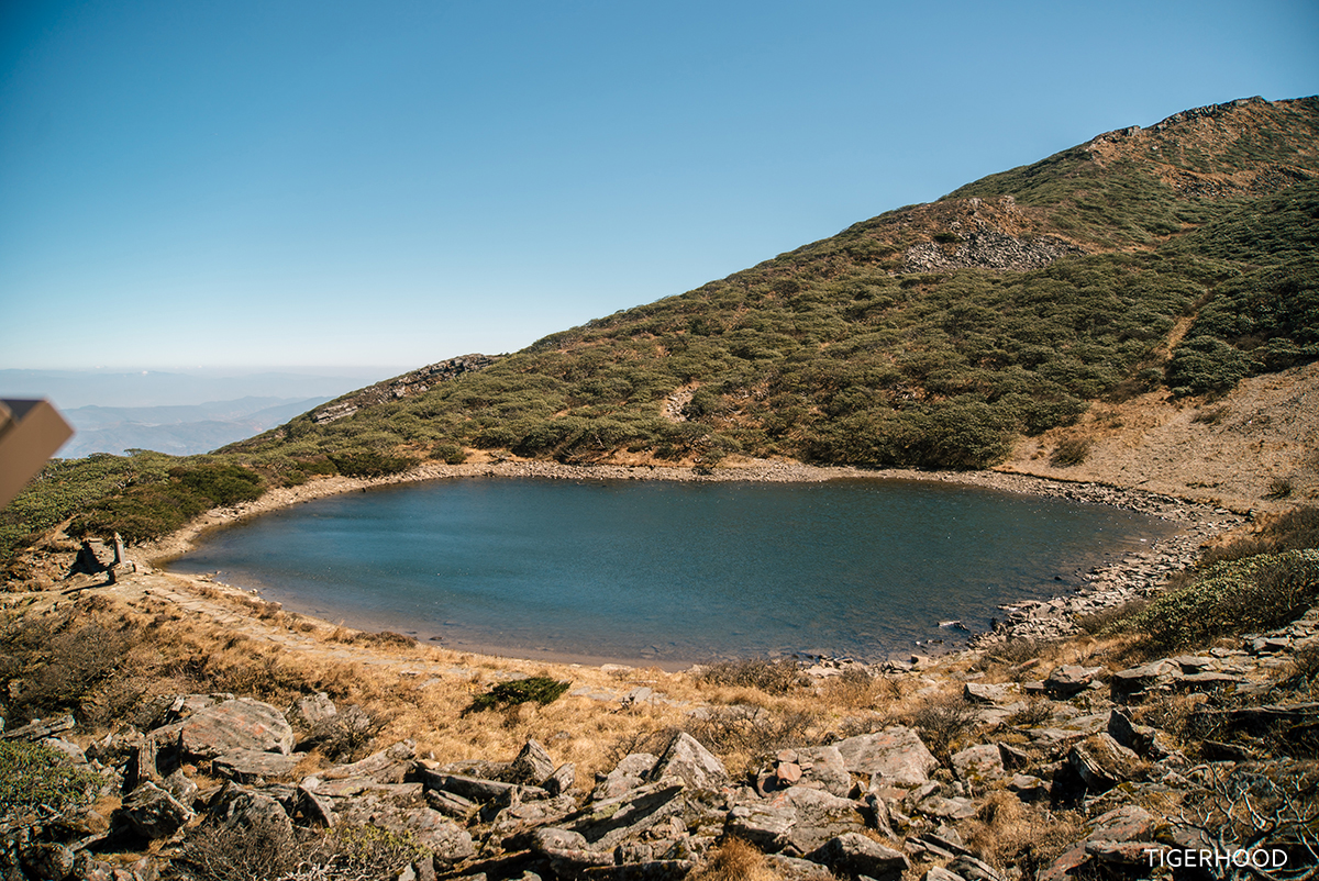 太格有物怎么样,太格有物