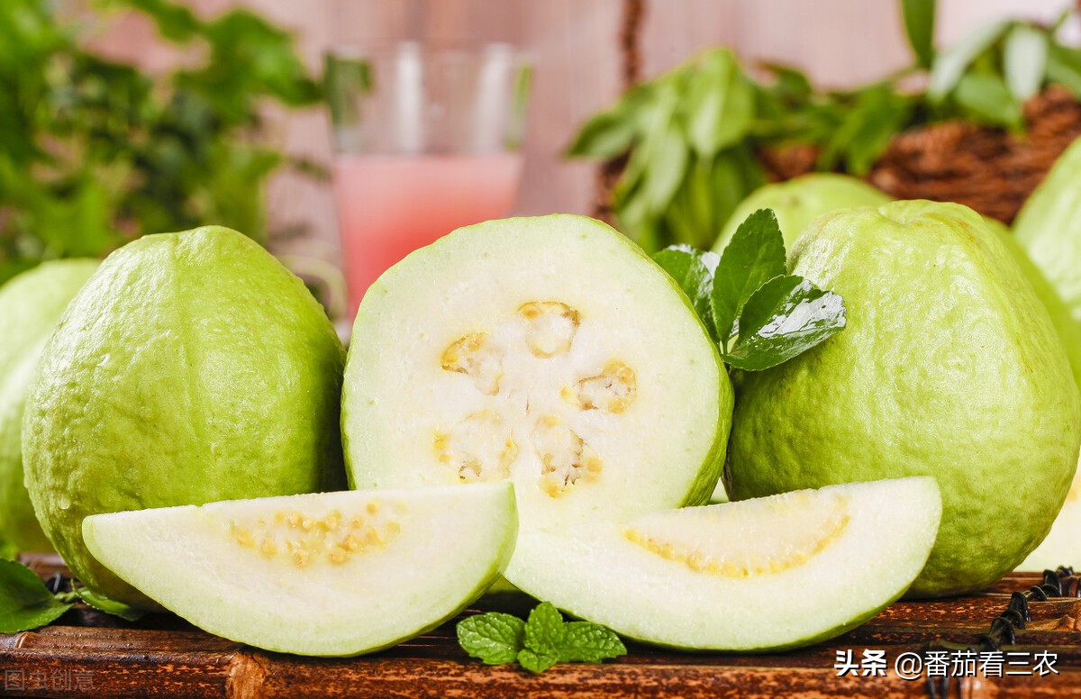 种植不久冬天番石榴出小果怎么办,番石榴膨果期管理技术