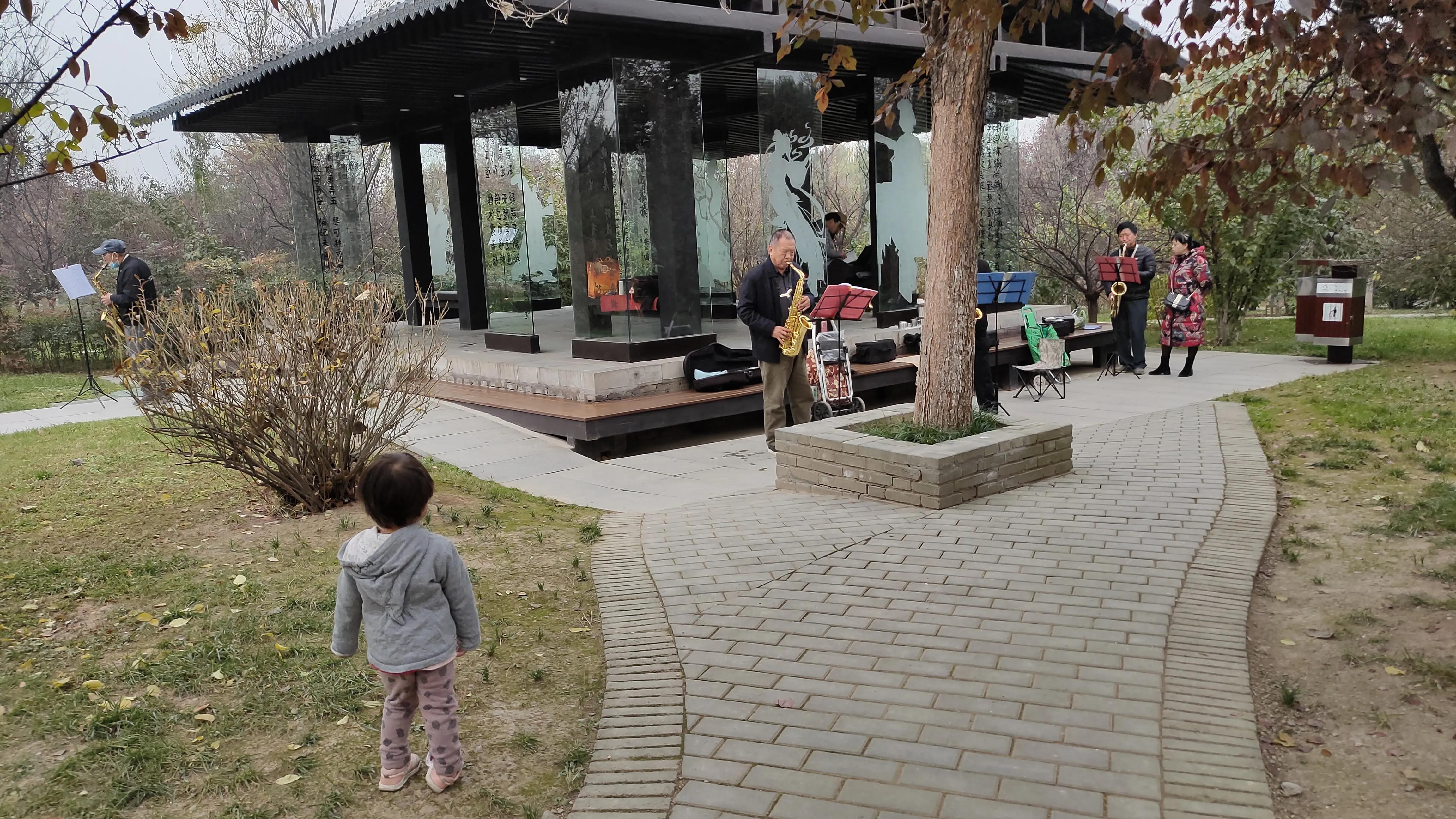 探寻西安大明宫国家遗址公园攻略,西安的大明宫遗址公园