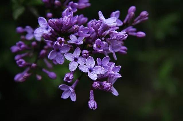 男流行歌曲三十首经典,男生经典歌曲排行榜前100首