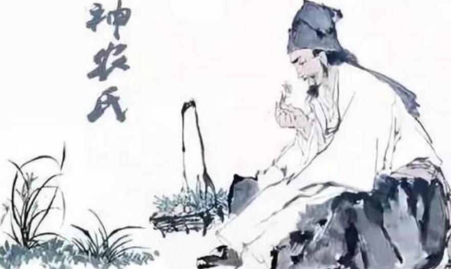 人到中年只想混日子,人到中年只想好好挣钱努力生活