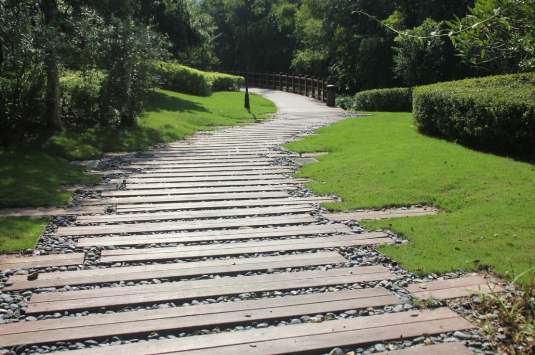 南昆山南国避暑天堂图片,藏在南昆山里的避暑胜地