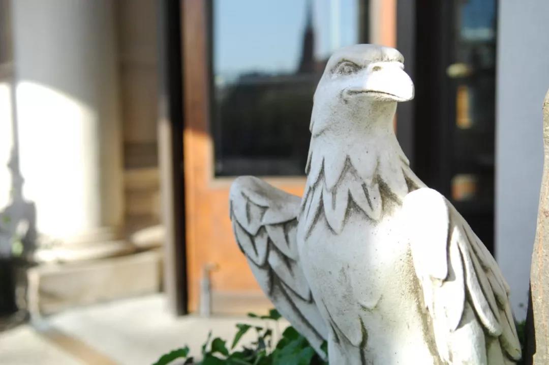 vdp德国酒庄联盟,vdp莱茵高半干白葡萄酒