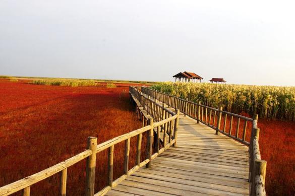 十一沿途风景,十一去红叶谷的景致