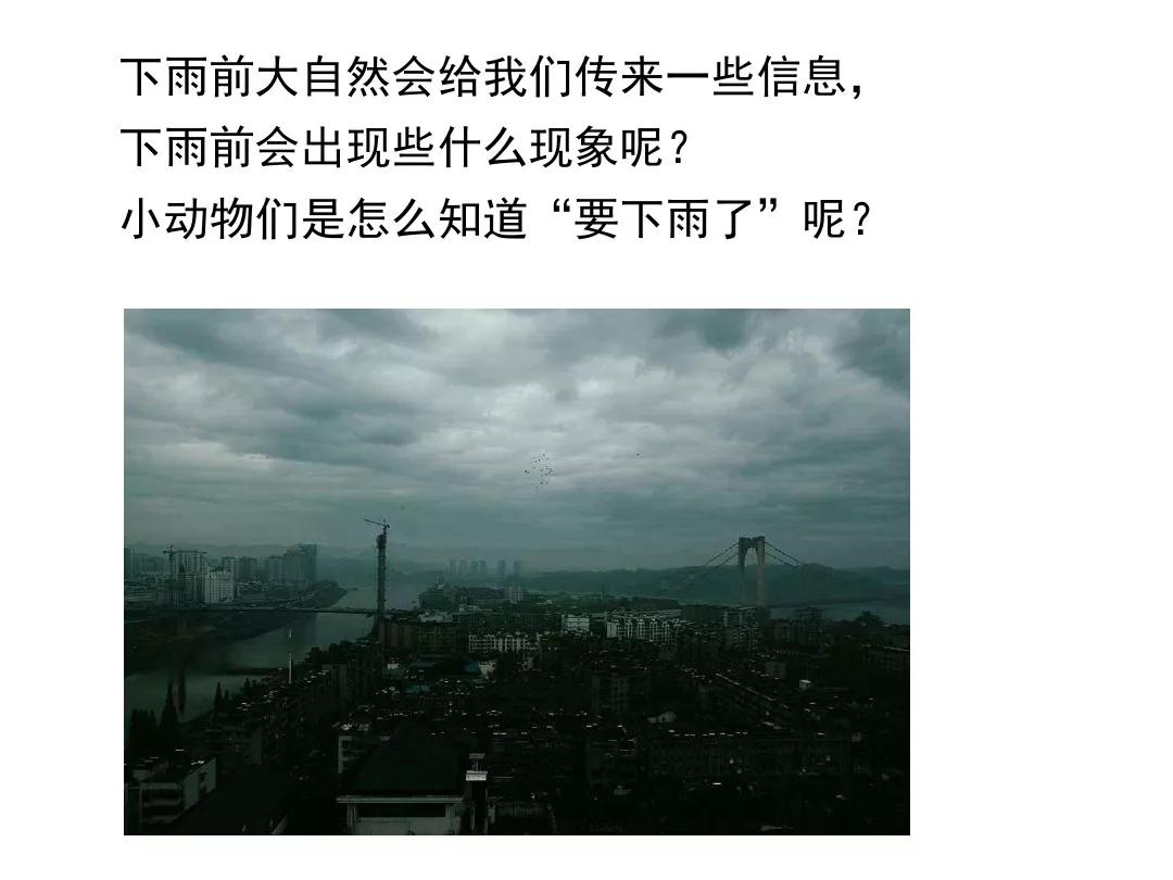 一年级下册14课要下雨了教材分析,部编版一年级下册14要下雨了教案