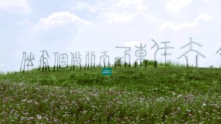 来成都打卡空港花田,成都双流空港花田打卡看飞机