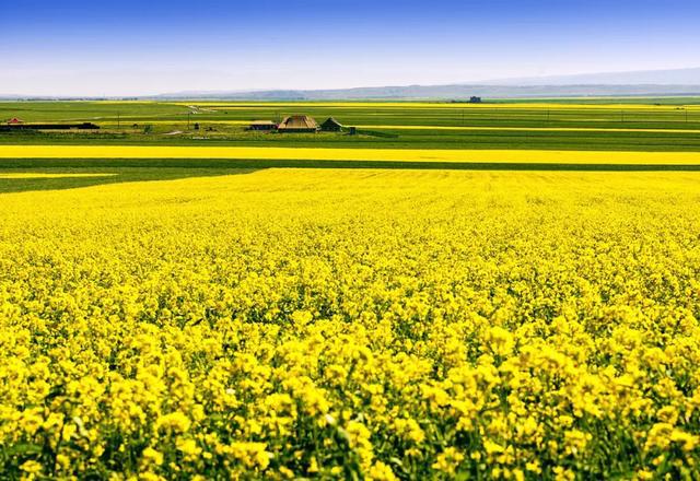 在公路旁随手一拍都是美景,中国有一条公路每一公里都是美景