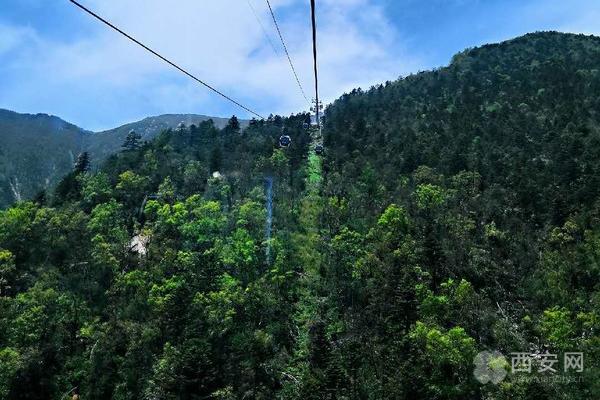 暑假带神兽们去上学,暑假带神兽出去玩