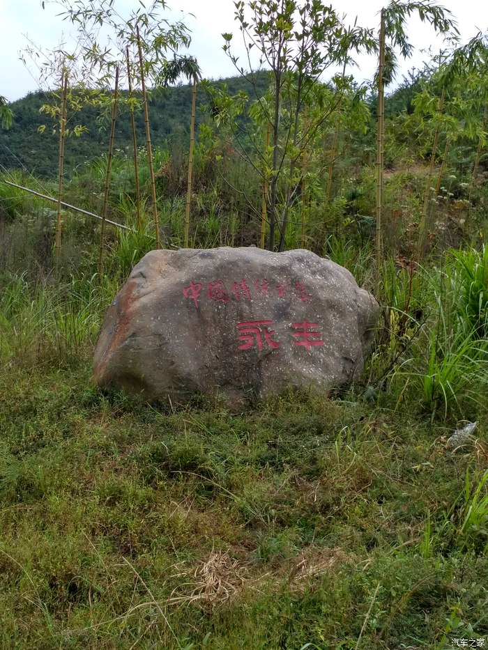 黄山区岭上旅游景点,黄山区苏雪林故居景点
