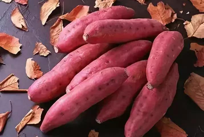 不吃主食减肥的你请看过来,不吃主食的减肥方式你还在坚持吗