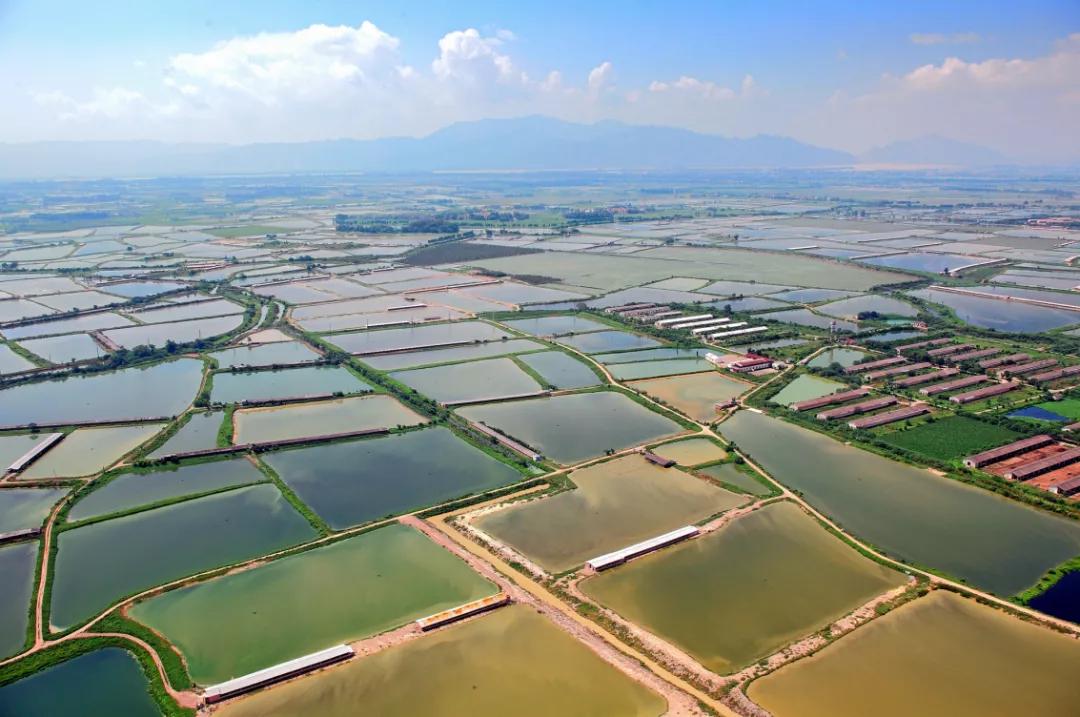 肇庆新区三年打基础五年建新城,九年的蜕变
