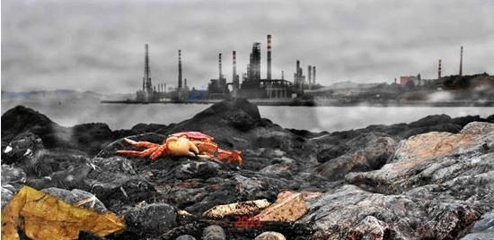 大连甘井子区蟹子湾,大连蟹子湾公园对岸夜景