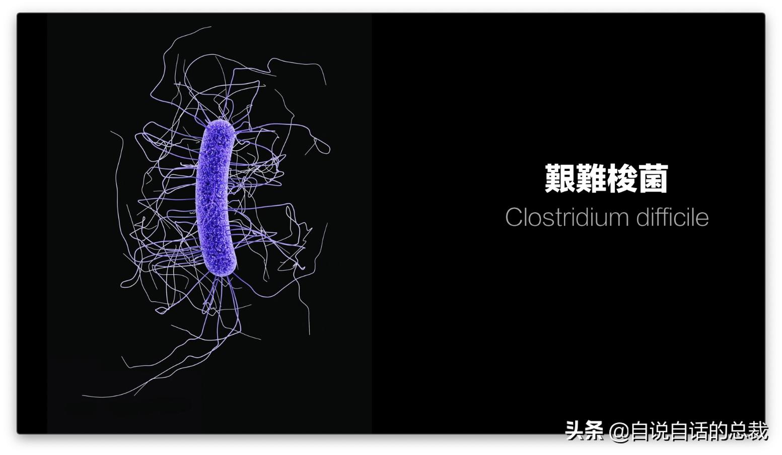 吃翔救命,最奇葩的药,人体“第二大脑”的五个惊奇