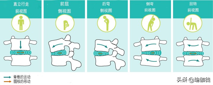 四个步骤，四组不同的轴向伸展序列，以尽量减少对椎间盘的压力