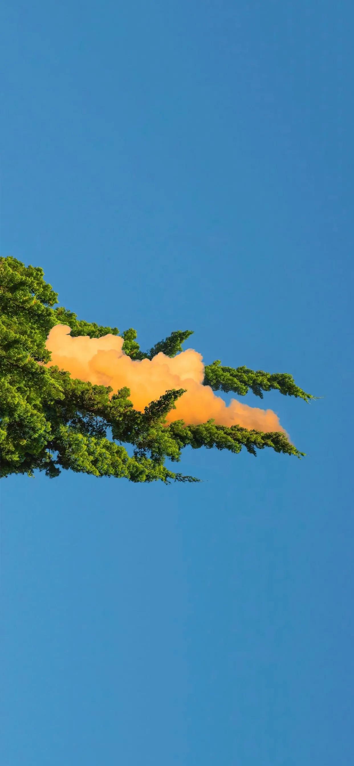 让人很惊艳的微信壁纸,2021独一无二微信背景高清壁纸