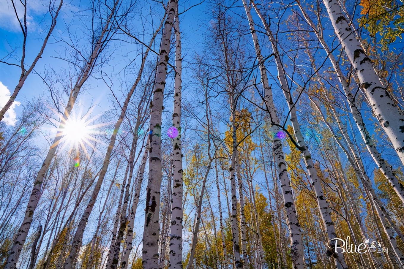 从漠河自驾到抚远镇,漠河至丹东自驾g331攻略