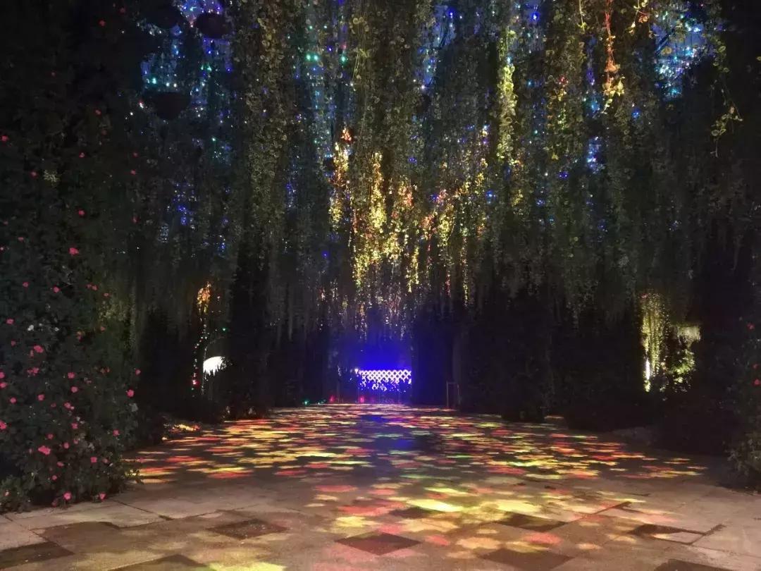 玩转秋梦,尽兴奇幻丨花径探奇乐园首次亮相,奇趣酷玩迎国庆