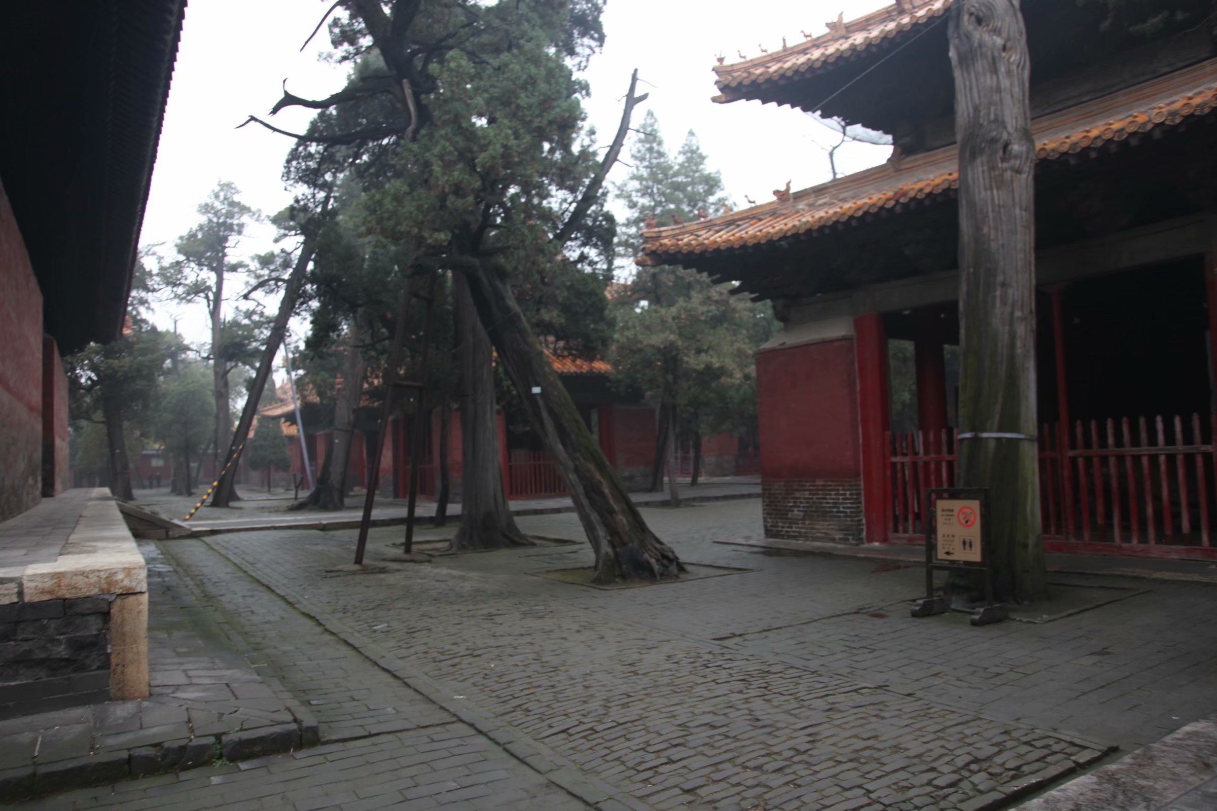 三孔在多少年被收入世界遗产名录,中国世界文化遗产三孔面积