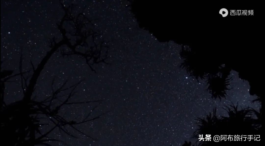 豆瓣9.1分，看过不足1500人，我却复盘了张日本最全野游图