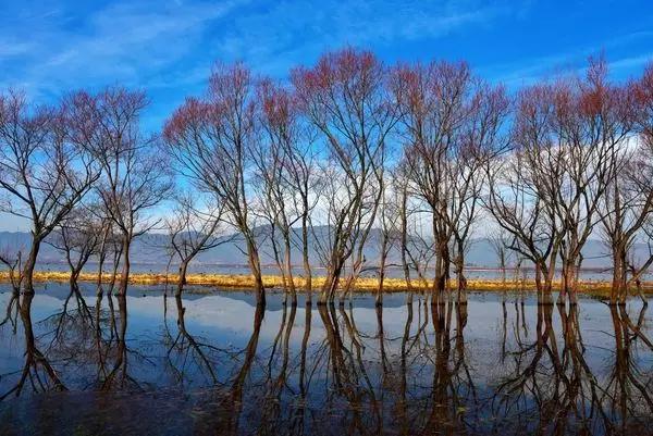 云南最美公路沿途景点,云南最美的十大高速公路